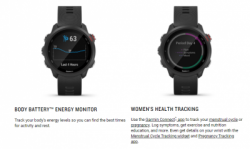 large forerunner music 245 6